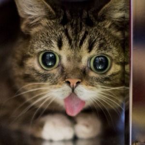 Meet your Posher, Julianne